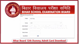 BSEB Dummy Regestration Card